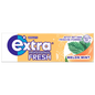 EXTRA Professional Fresh 30x10 Dragees - Melon Mint
